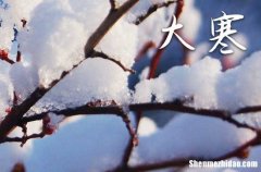 大寒是幾月幾日2024年