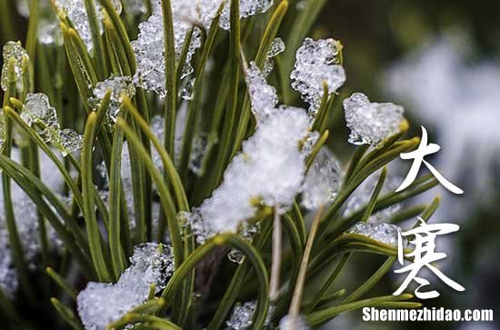 2024年的大寒是1月20日幾點