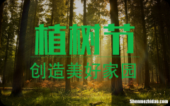 3月12日植樹節(jié)的由來2024植樹節(jié)植樹造林的宣傳標(biāo)語