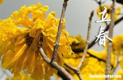 立春节气吃什么水果最好