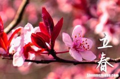 立春节气三候是什么意思