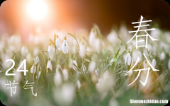 春分节气鸡蛋为什么能立住2024春分立鸡蛋的小技巧