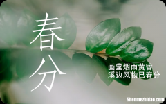 春分节气吃什么传统食物2024 春分习俗有哪些