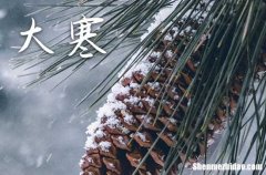 大寒节气吃什么食物养生最好