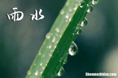 雨水节气会下雪吗 雨水节气会不会下雨
