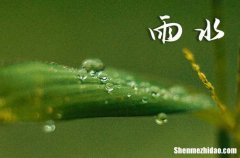 雨水节气会出现草木萌芽吗 雨水节气会有什么现象