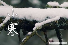 小寒是最冷的节气吗 小寒节气的由来和含义