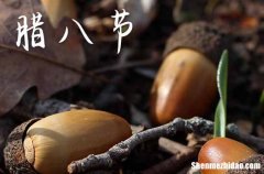 2024年腊八节是几月几号周几