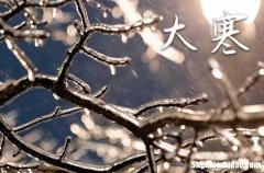 大寒节气打雷预示什么20242024的大寒是哪一天