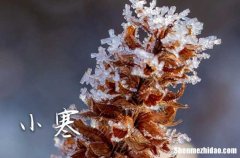 2024年小寒大寒谁更寒