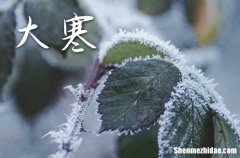 2024年大寒最冷还是小寒最冷