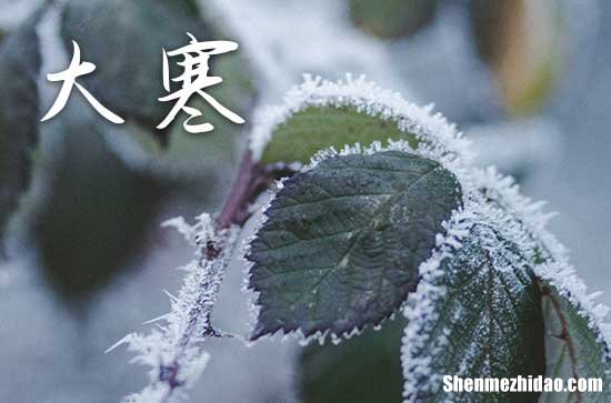 2024年大寒最冷还是小寒最冷