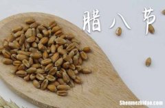 2024腊八节阳历准确是几月几号 2024腊八节买宠物好不好