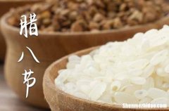 腊八节是几月几日2024年 2024腊八节养狗好不好