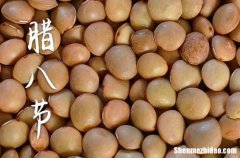 2024年什么时候腊八节 2024腊八节当天可以堤坝完工吗