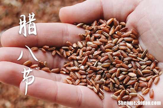 腊八节2024年是几月几日星期几 2024年1月18日腊八节是斋醮的黄道吉日吗