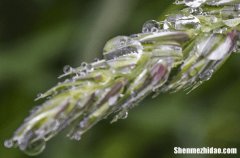 谷雨节气养生注意事项 谷雨节气养生要诀