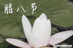 适合发朋友圈的腊八节祝福语简短一句话2024腊八节蕴藏的美好寓意