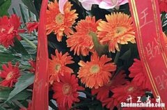 2023年农历腊月十一是开市日子吗 今天日子好不好