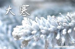 大寒节气的谚语有哪些2024 大寒节气的谚语