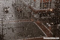 2024谷雨说说心情短语发朋友圈 谷雨微信朋友圈说说句子