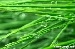 2024年谷雨是几点几分几秒 2024年谷雨是什么时候