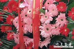 2024年1月19日黄道吉日查询 今天日子好不好