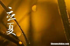 2024年5月5日是什么日子 每年5月5日是什么节日