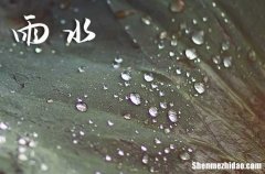 2024年2月19日是什么日子 每年2月19日是什么节日