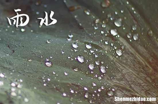 2024年2月19日是什么日子 每年2月19日是什么节日