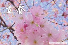2024年立春在哪一天