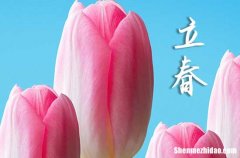 2024年立春时间