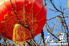 2024年元旦放几天假