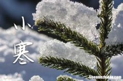 2024年小寒是什么时候,小寒是哪天