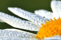 谷雨喝什么粥养生 谷雨节气养生粥食谱推荐