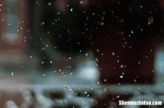 谷雨节气吃什么比较好 谷雨节气吃这3宝