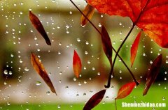 谷雨节气为什么吃香椿 谷雨吃香椿的寓意