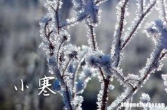今天是小寒吗?2024年小寒时间几点几分几秒
