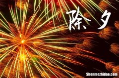 2024年除夕是几九第几天了