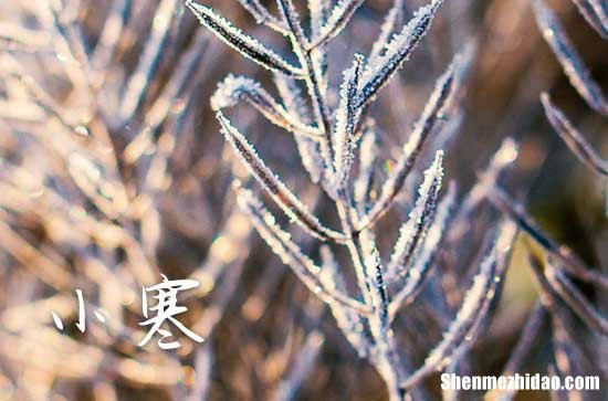 2024小寒不冷春节冷吗 小寒对春节有影响吗