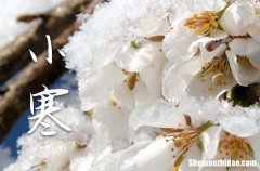 2024年小寒冷还是大寒冷 小寒是最冷的时候吗