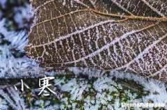小寒具体时间出炉