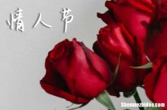 2024情人节送什么花 2024情人节送多少玫瑰花好