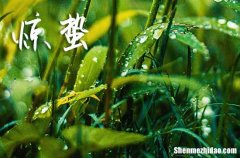 2024年几点惊蛰 2024惊蛰是星期几