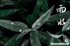 2024年雨水是什么意思 2024雨水节气的含义是什么