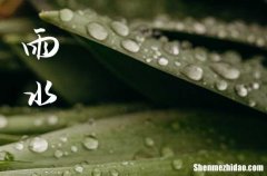 2024年雨水时间: 2024年雨水是哪一天