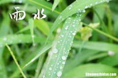 2024年雨水结婚好不好 2024雨水当天是结婚吉日吗