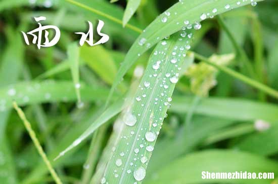 2024年雨水结婚好不好 2024雨水当天是结婚吉日吗