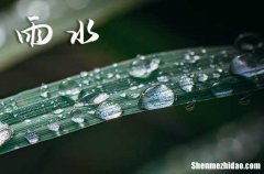 2024年雨水可以理发吗 2024年雨水节气能理发剃头吗