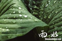 2024雨水节气吃什么 雨水节气吃什么传统食物